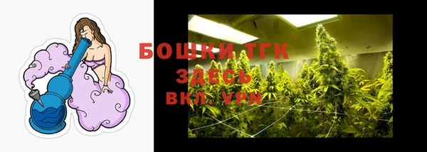 mdpv Богородицк