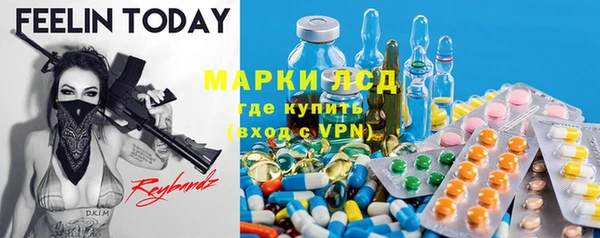 mdpv Богородицк