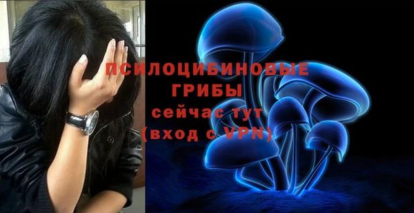 скорость mdpv Богданович