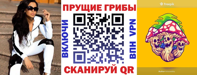 купить   Елизаветинская  МЕГА tor  Галлюциногенные грибы Cubensis 