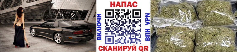 omg ТОР  Елизаветинская  Канабис план 